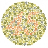 Color-blindness Tests